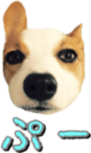 15328855