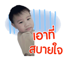 153314647