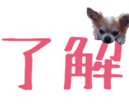 15334819