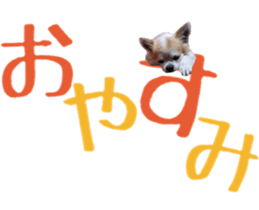 15334822