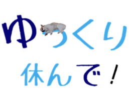 15334840