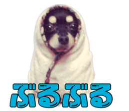 15338512