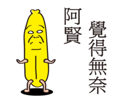 153458555