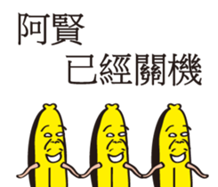 153458557