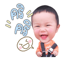 153495137