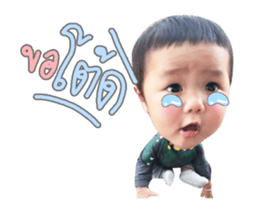 153495138
