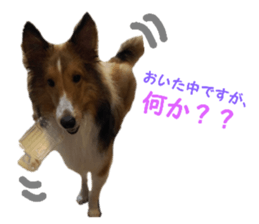 153506365