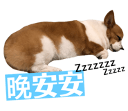 153760283