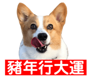 153760285