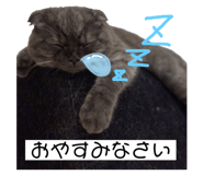 153857689