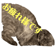 153857692
