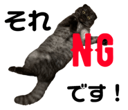 153857699