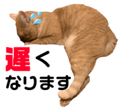153857707