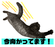 153857708
