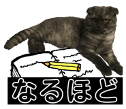 153857724