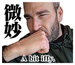 15388419