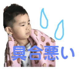 154067806