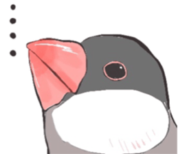 15407852