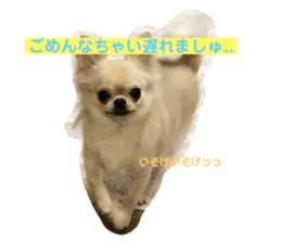 154097550