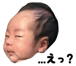 154206379