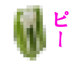 15436846