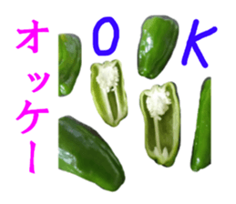 15436876