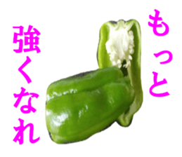 15436877