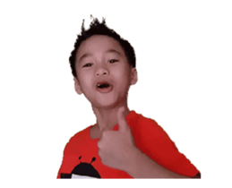 15437037