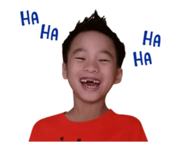 15437038