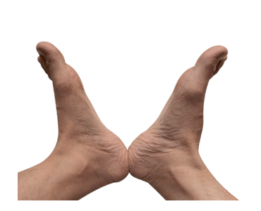 Kaki tangan รูปที่ 2