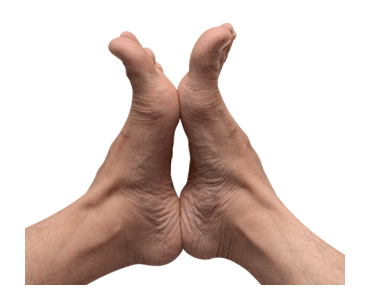 Kaki tangan รูปที่ 3