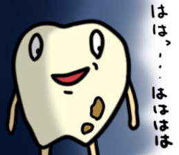 15443023