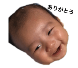 154464397