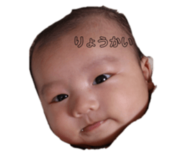 154464406