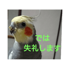 154478677