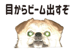 154563836