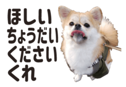 154563837