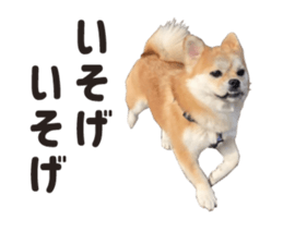 154563845