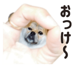 154563850