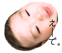 154600590