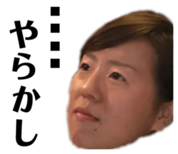 154603315