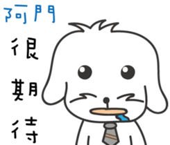 154817043