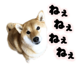 154889152