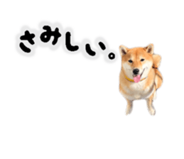 154889166