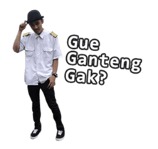 15491965