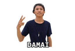 15491971