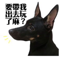 154921355