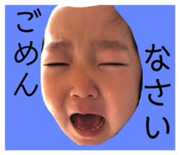 154990456