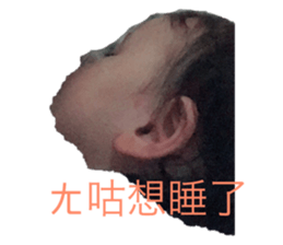 155052893