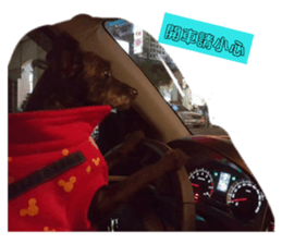 155065494